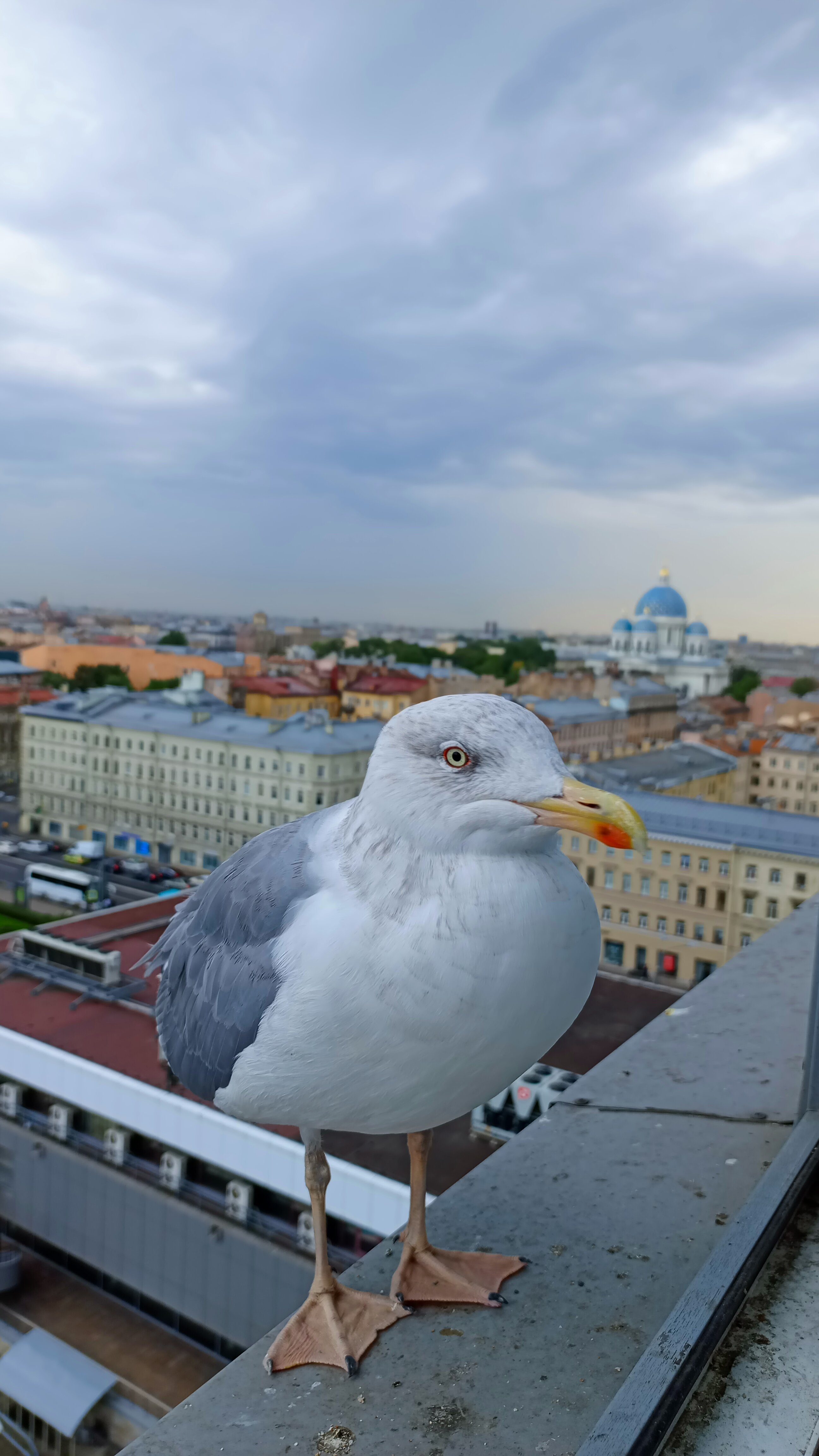 Фото Azimut Сити Отель Санкт-Петербург