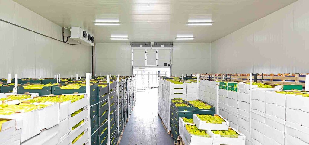 Industrial refrigeration equipment Cool Concepts Technical Services, Dubai, photo