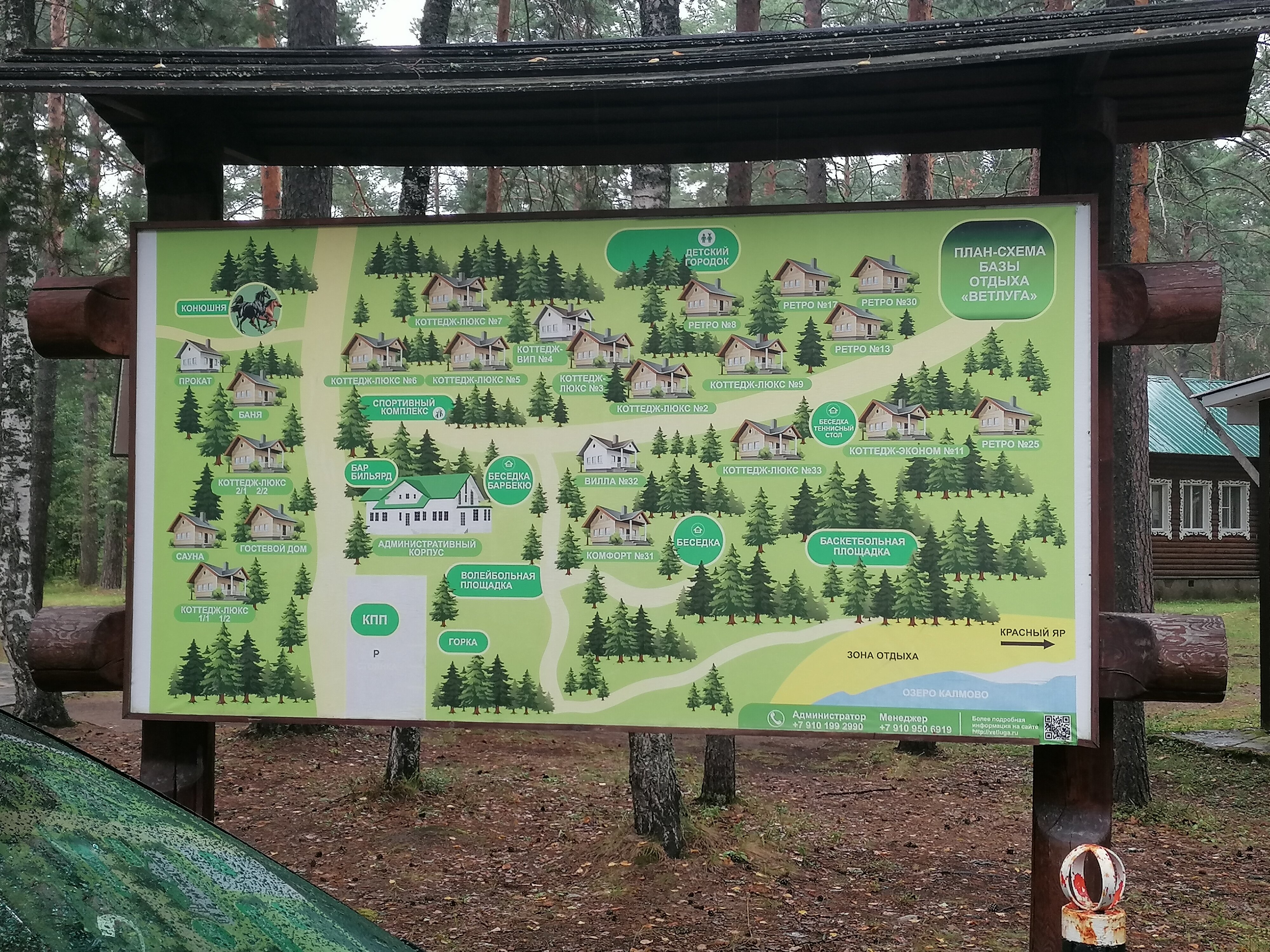 Фото Нью-Ветлуга-Парк