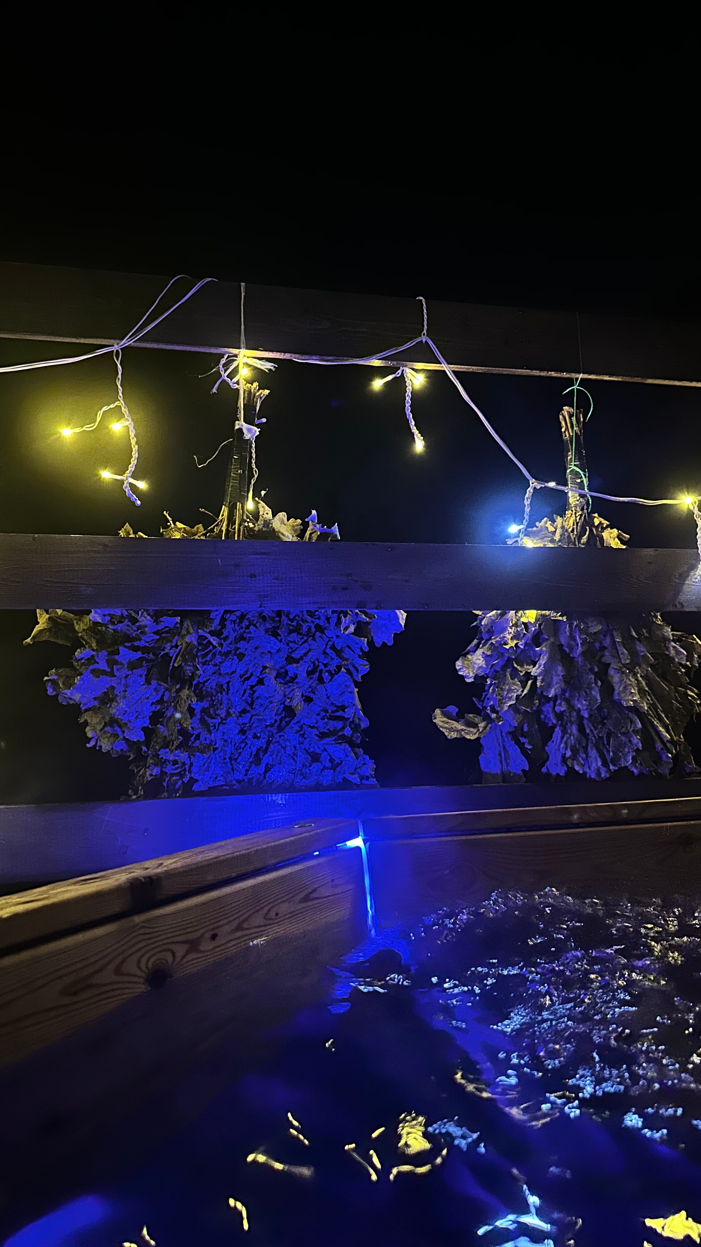 Фото Вилла Your Friends Tarusa