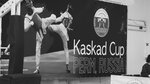 Kaskad (Likhvinskaya Street, 27), sports club