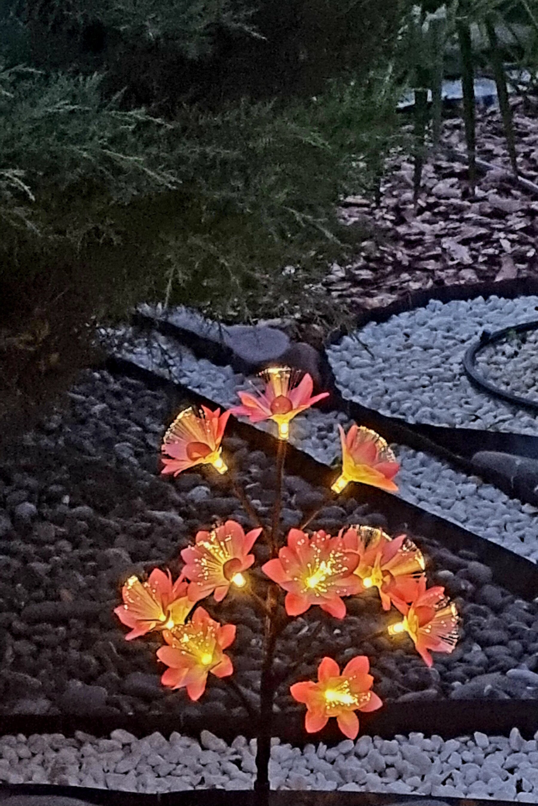 Фото Пансионат Орхидея