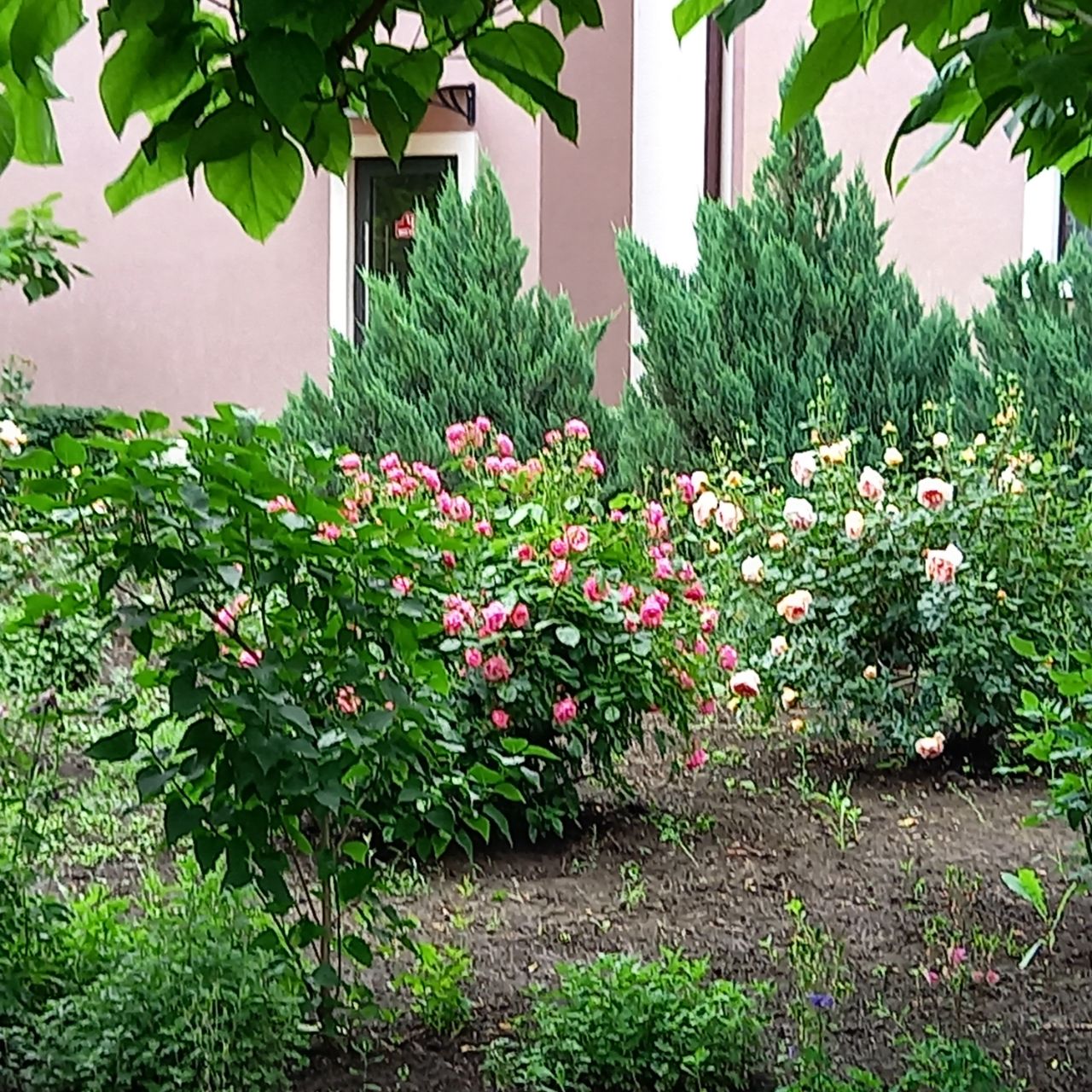 Фото Просторы