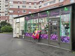 Магазин цветов (Gakkelevskaya Street, 33к1), flower shop
