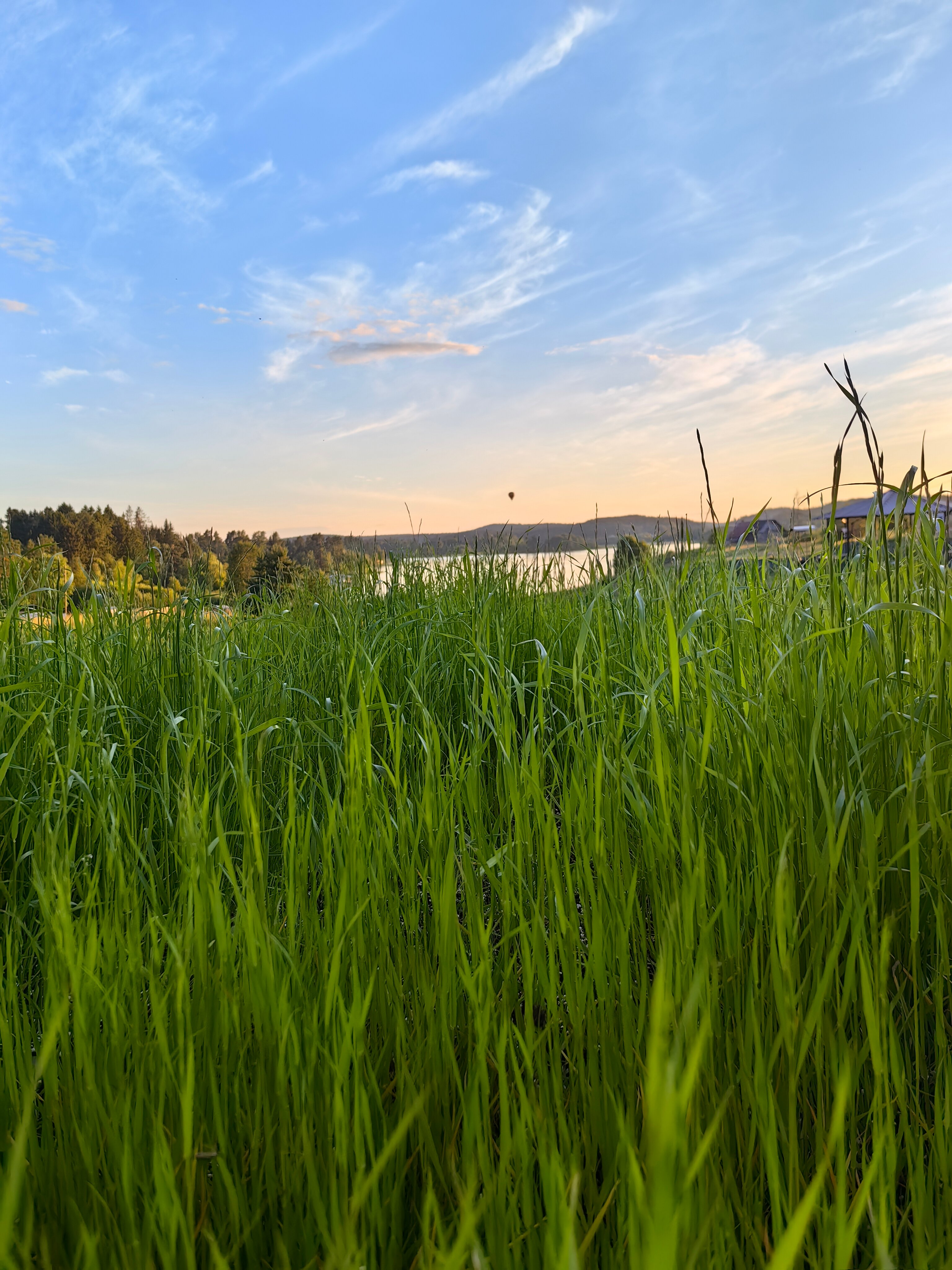 Фото Павола