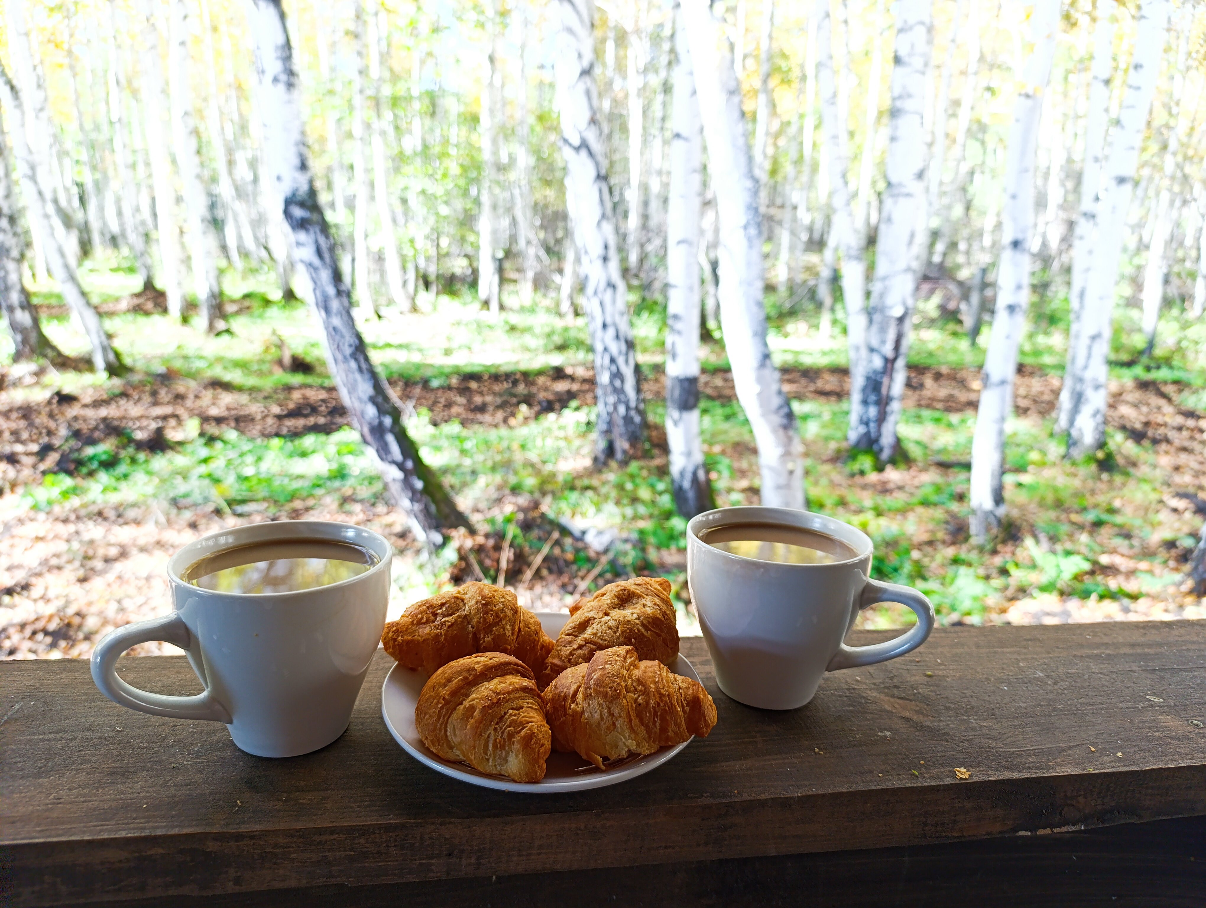 Фото Гостевой комплекс Эко-деревня