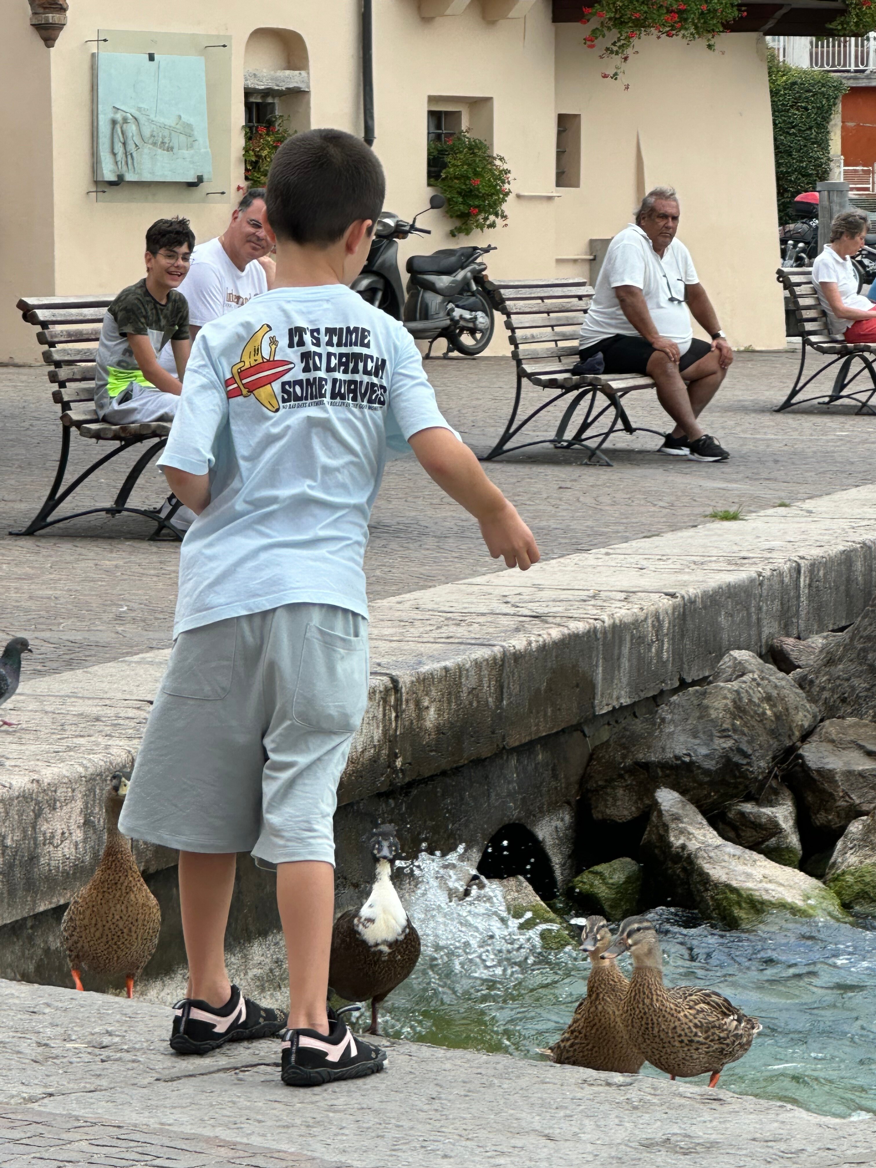 Фото Hotel Lago di Garda