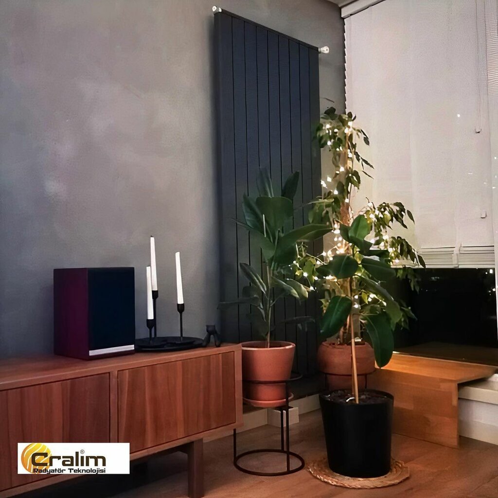 Car radiators Cralim, Ankara, photo