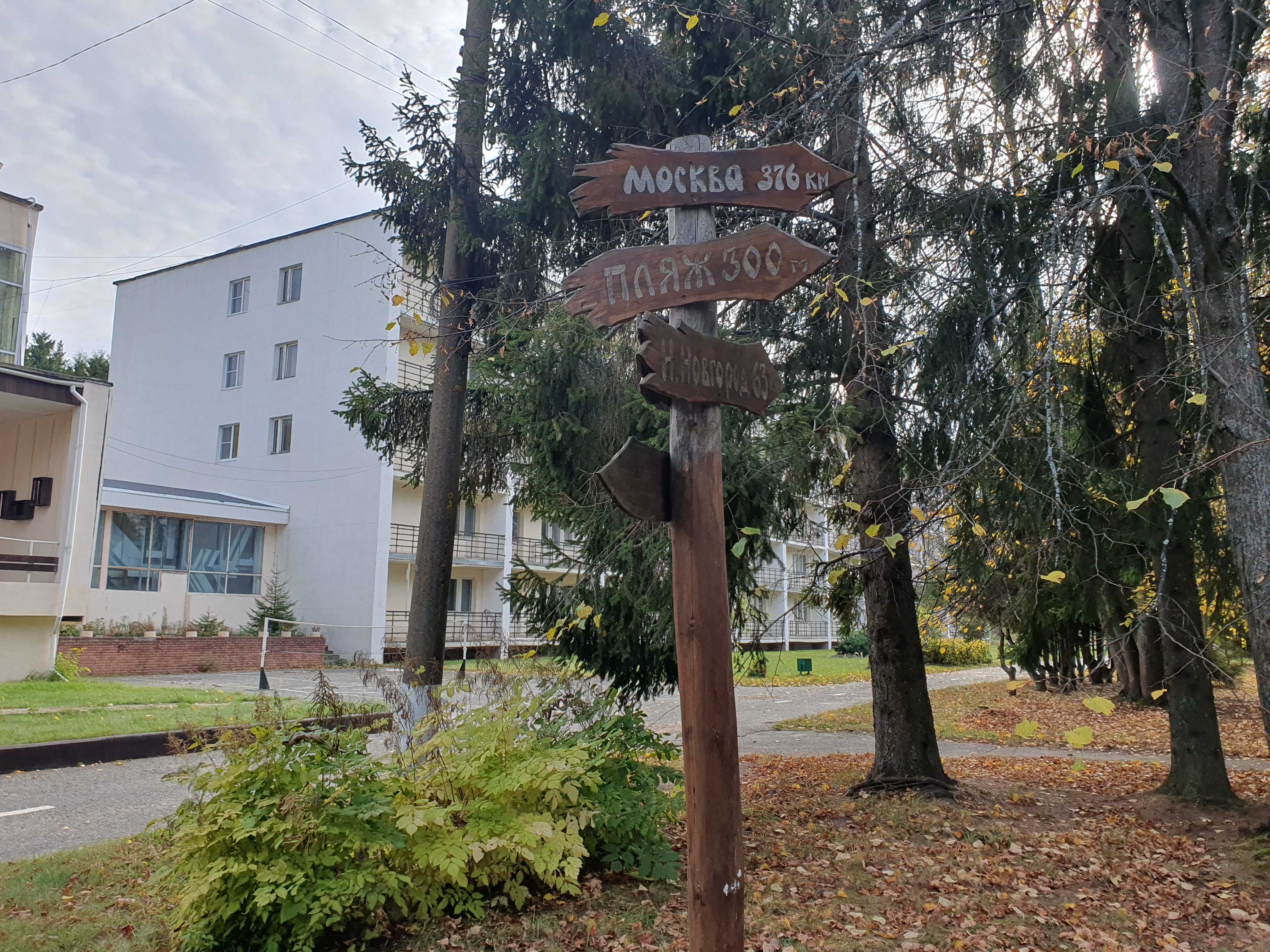 Фото Буревестник