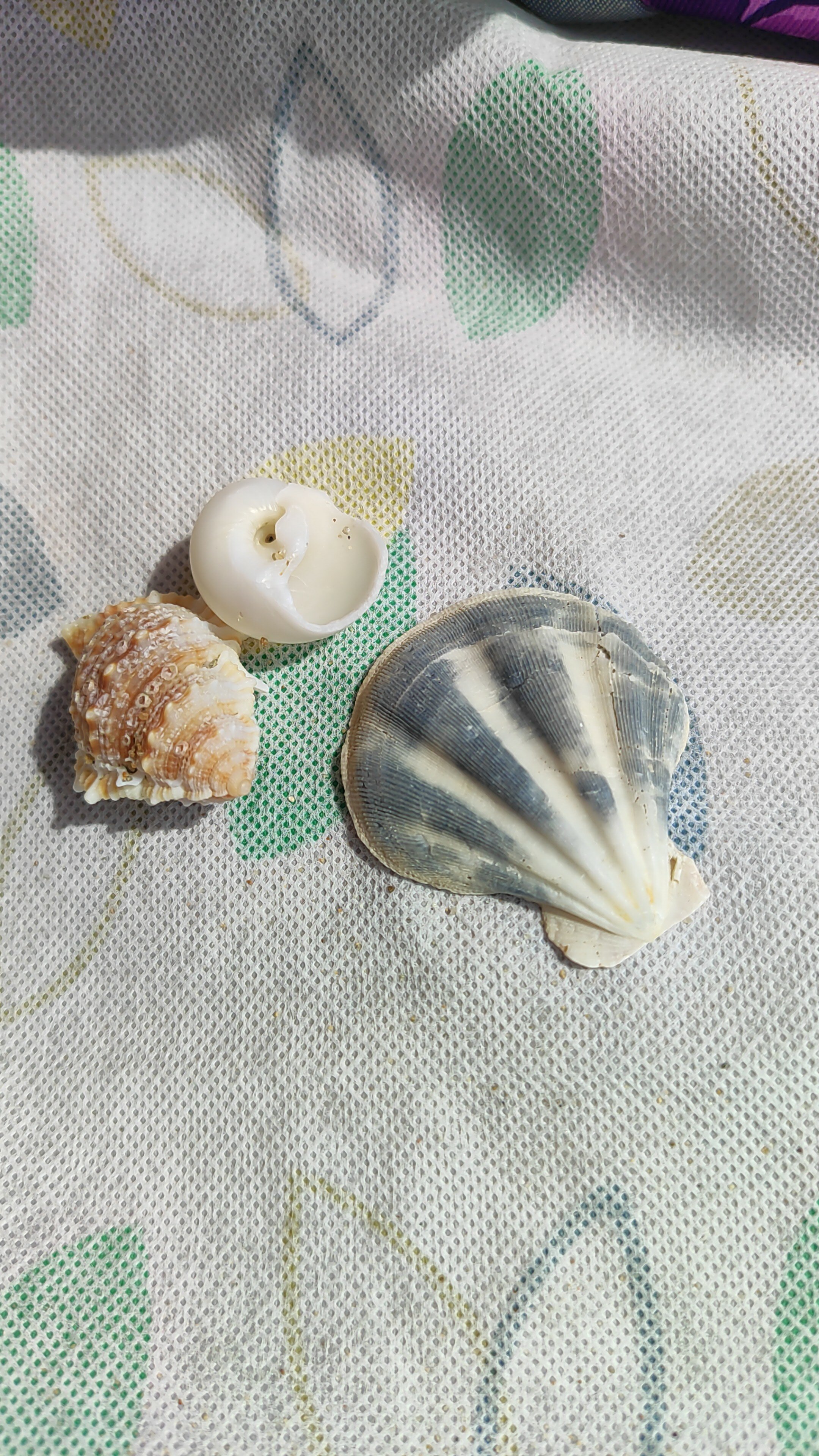 Фото Seaside Jomtien Beach