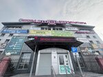 Griffin (prospekt Avtomobilistov, 21Б), tienda de repuestos y artículos para automóviles