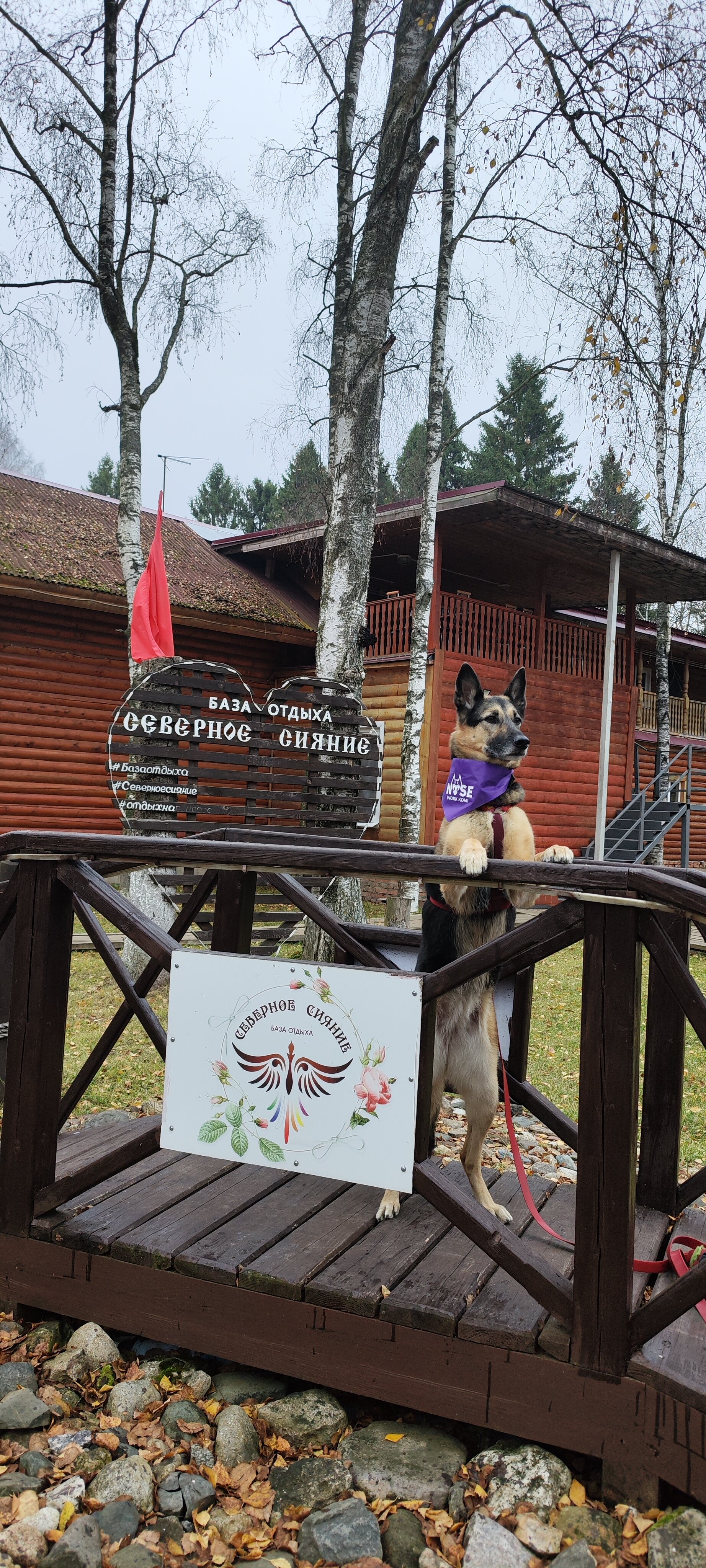 Фото Северное сияние