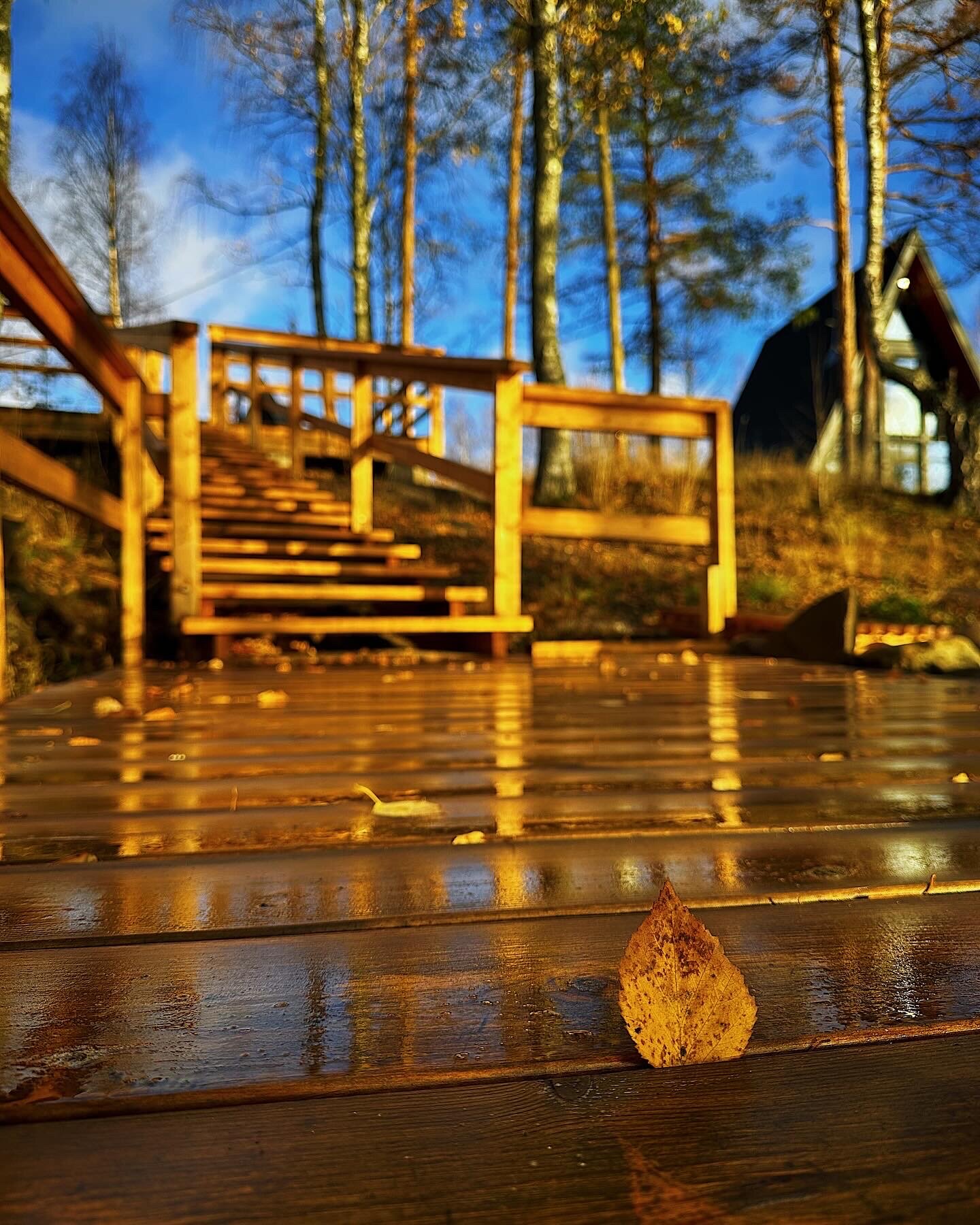 Фото Хутор Марья