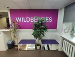Wildberries (Kiryakinykh Street, 8), point of delivery