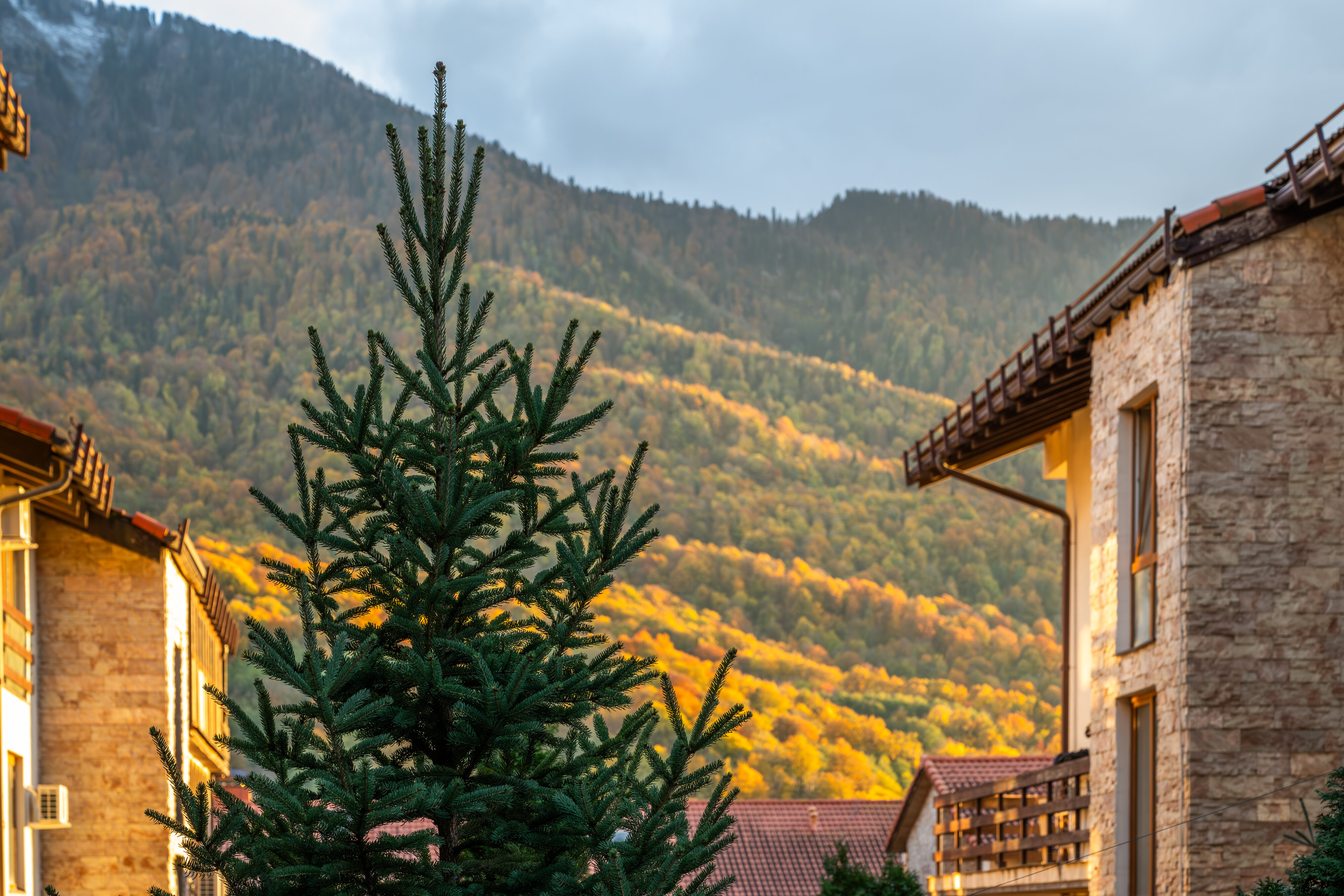 Фото Апартаменты Оплот