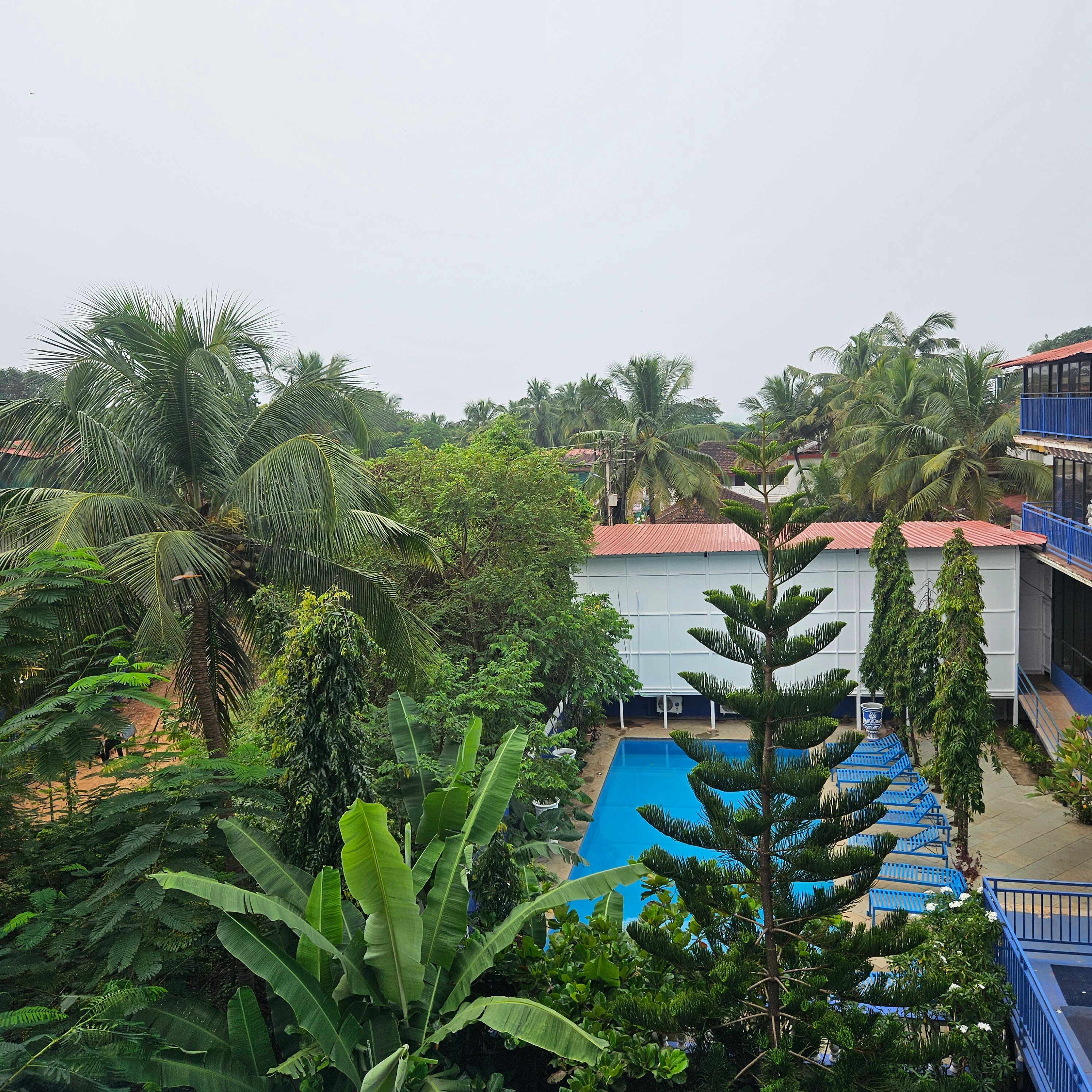 Фото Mayflower Beach Resort