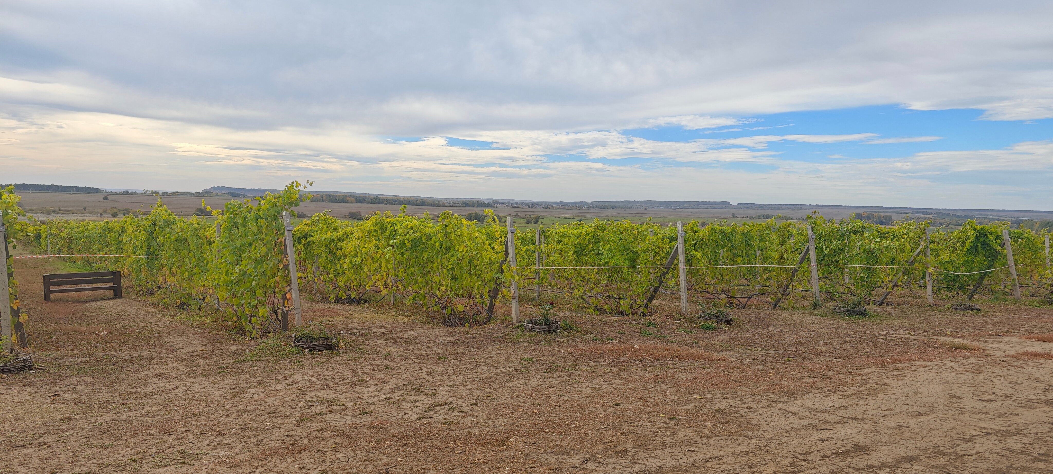 Фото Камское house