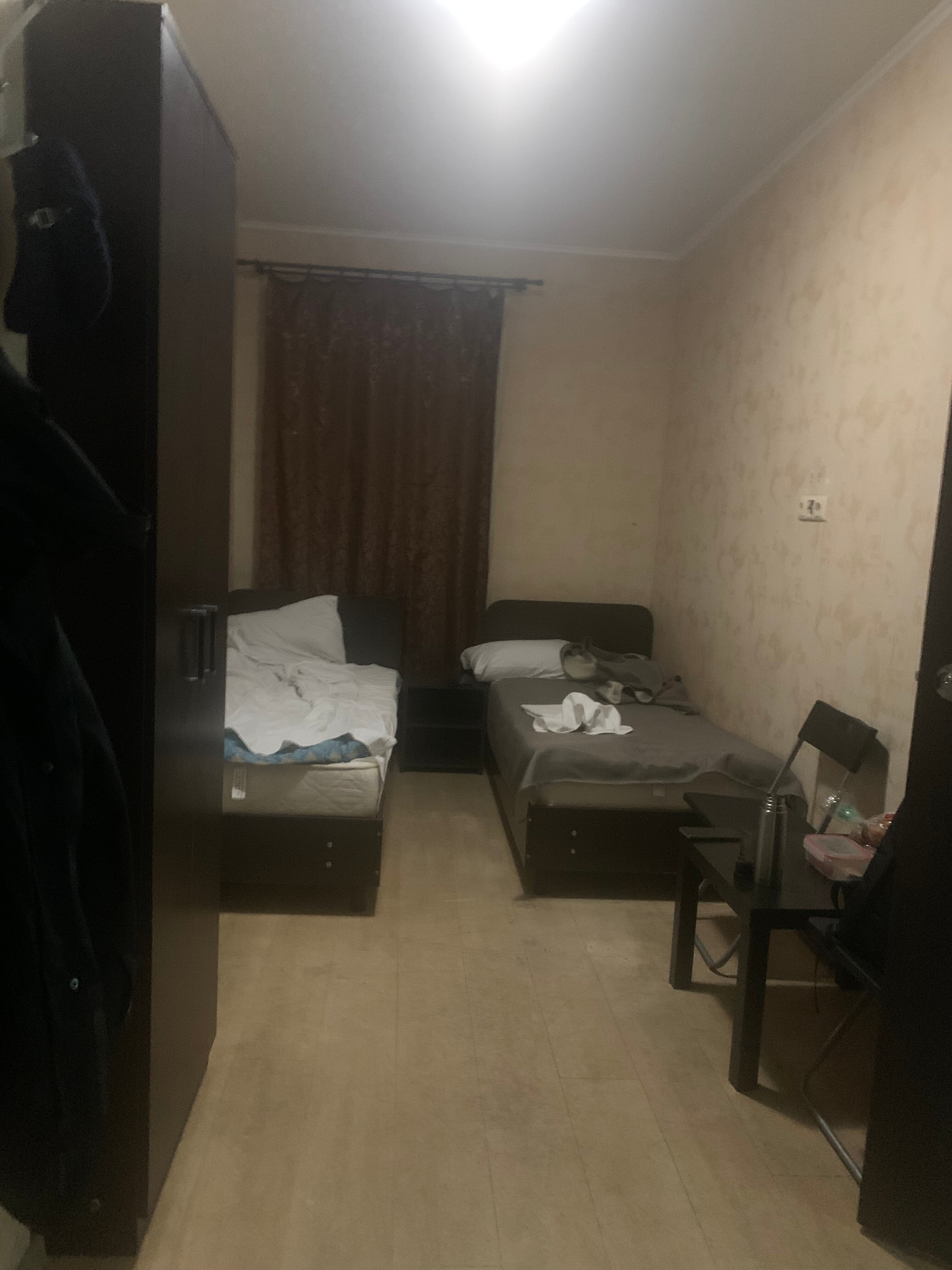 Фото Базилик 