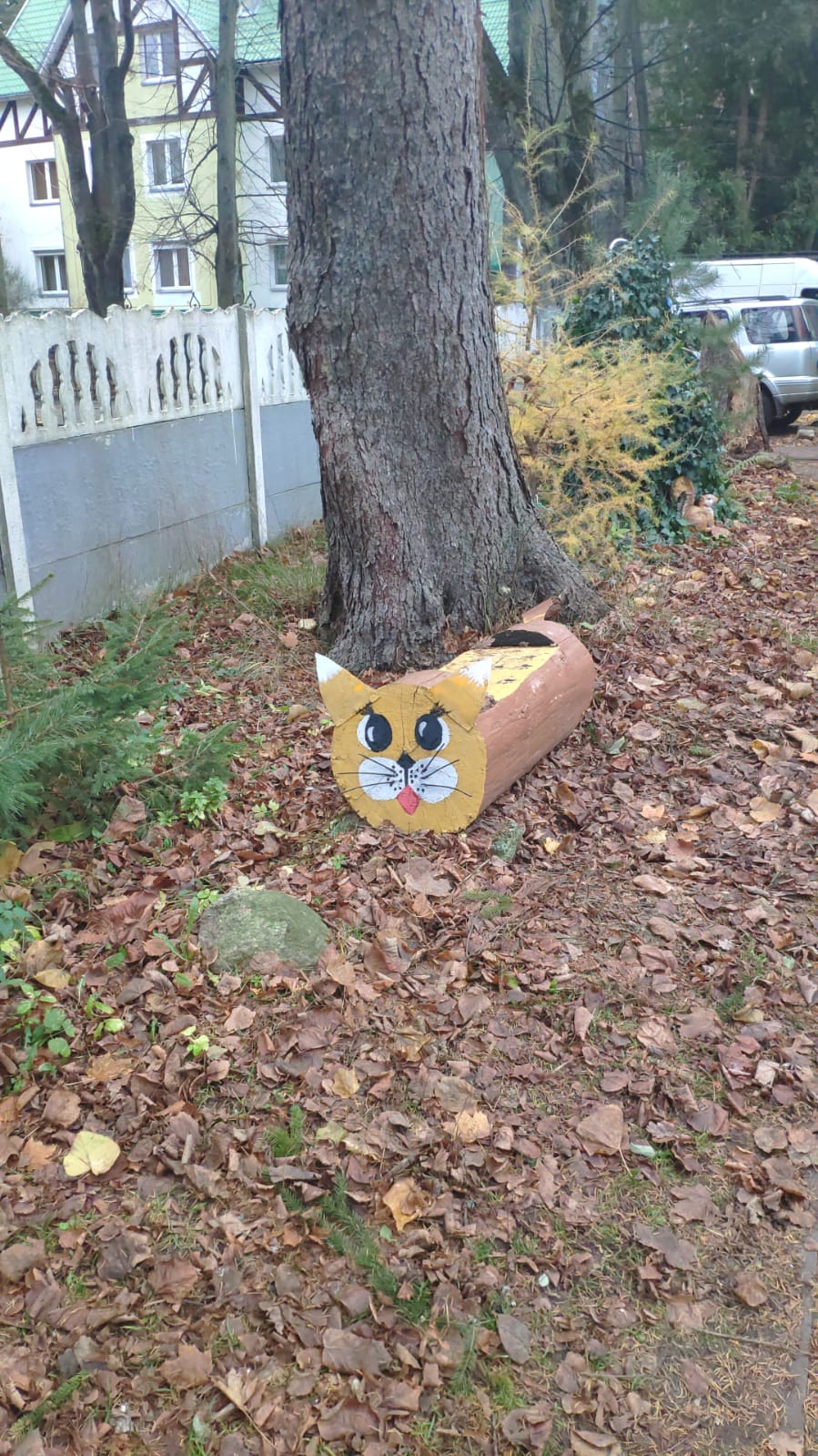 Фото Фламинго