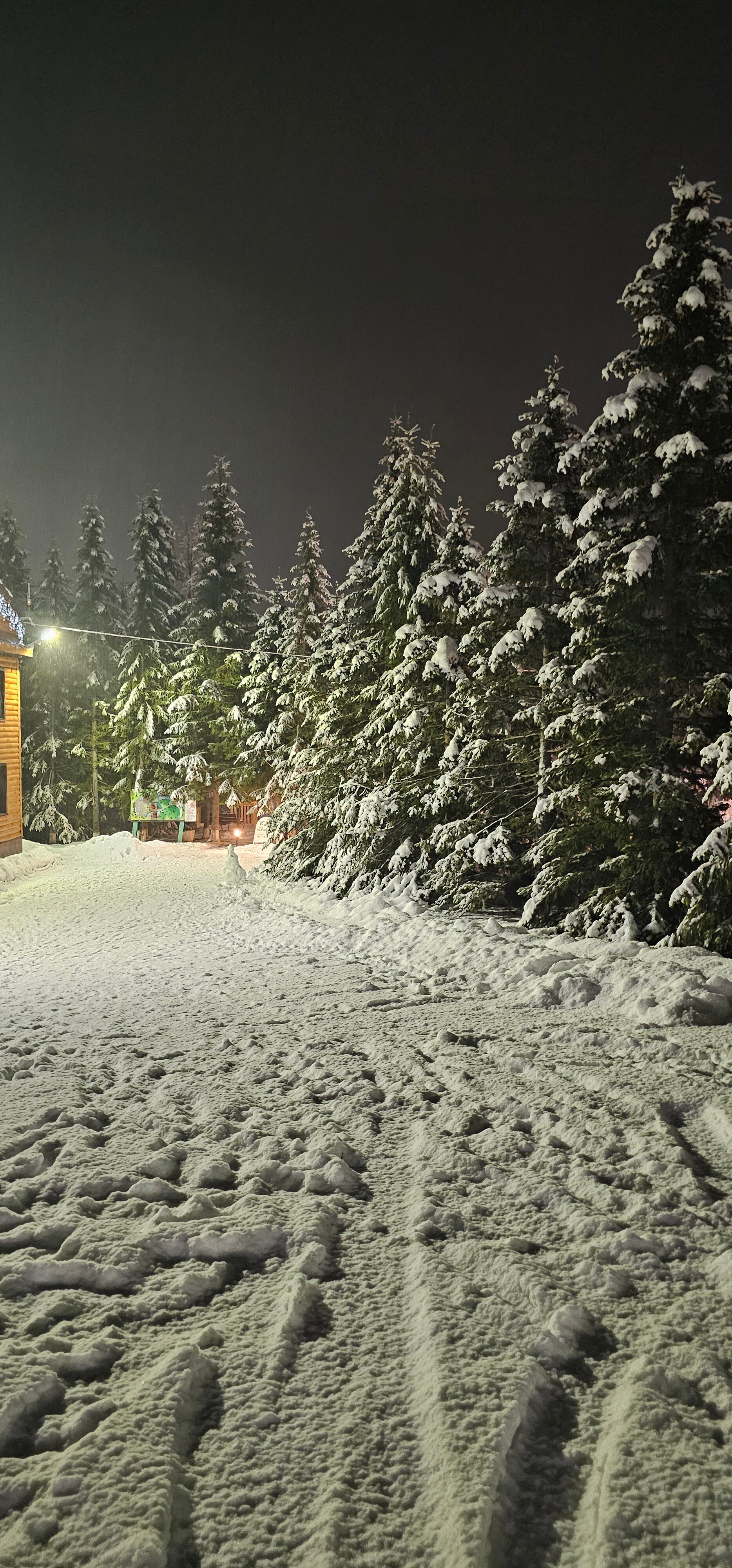 Фото Кречет