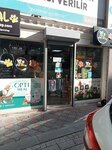 Masal Petshop (Istanbul, Bahcelievler, Soganli Neighborhood, Sevinc Street, 5A), tienda de animales