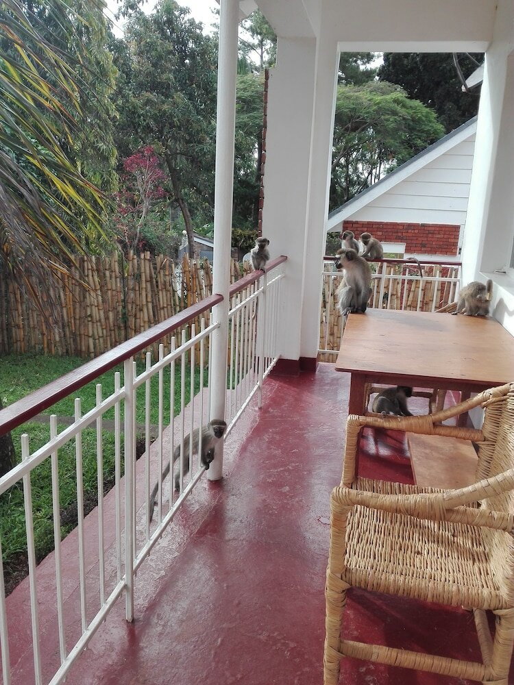 Фото Sunbird Backpackers