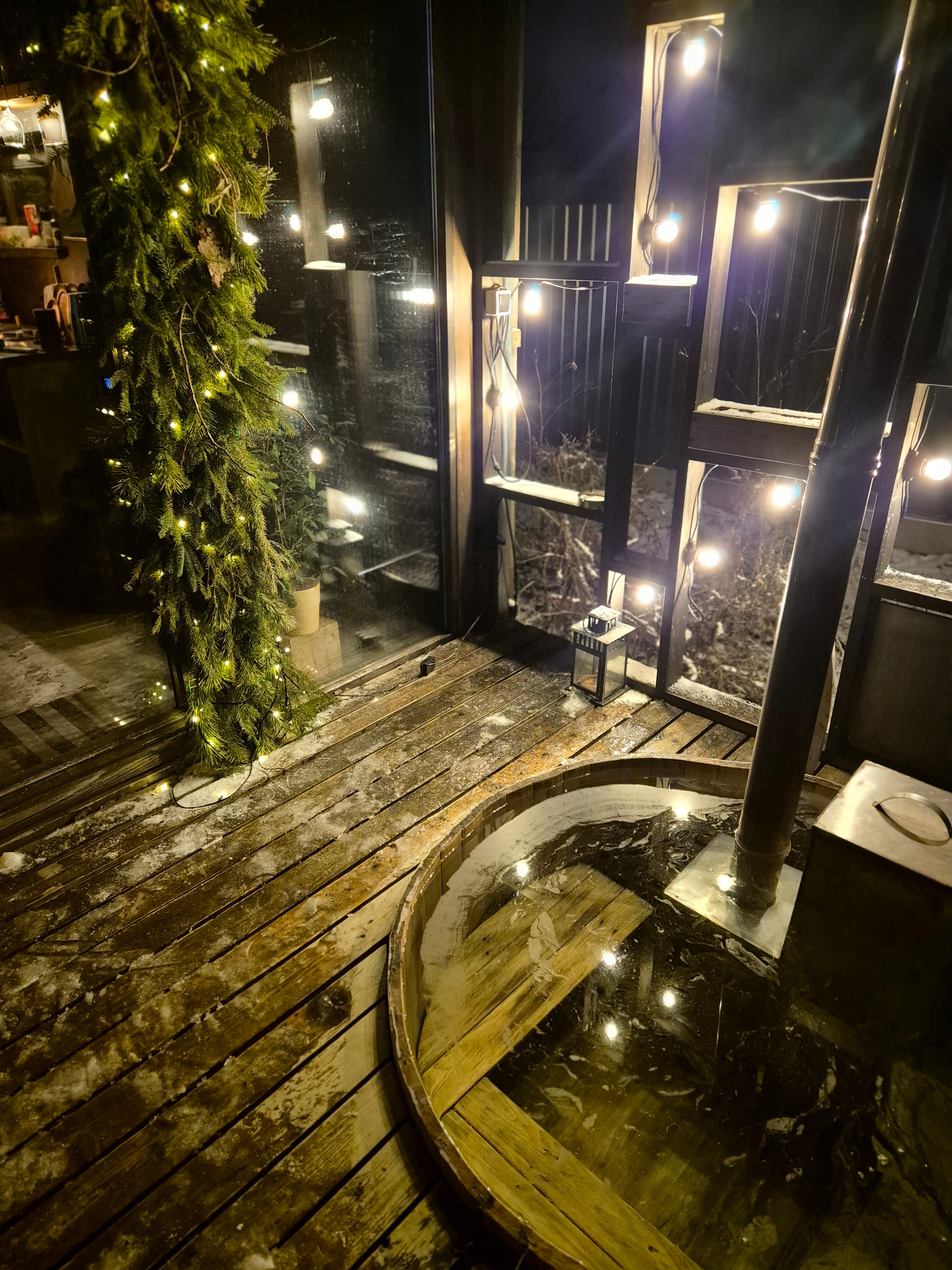 Фото Дзен в лесу