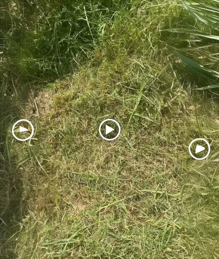 Mosque Ovaeymir New Mosque, Efeler, photo