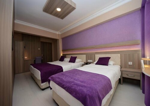 Гостиница Plevne Otel в Токате
