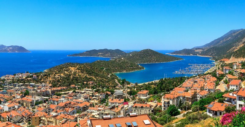 Disinfection, disinsection, deratization VIP Pest Control, Antalya, photo