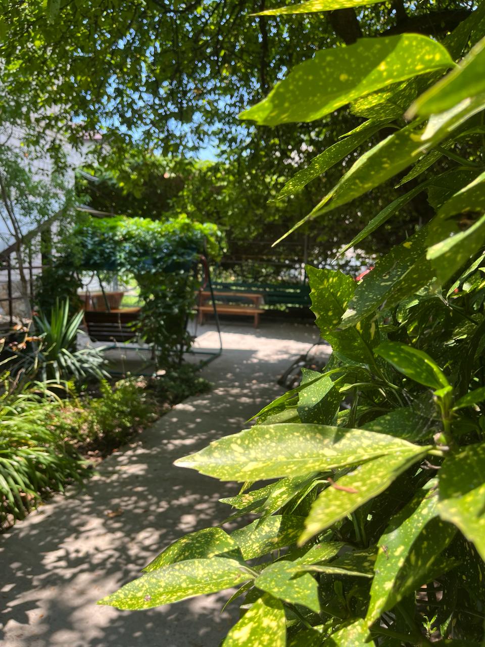 Фото КорМал