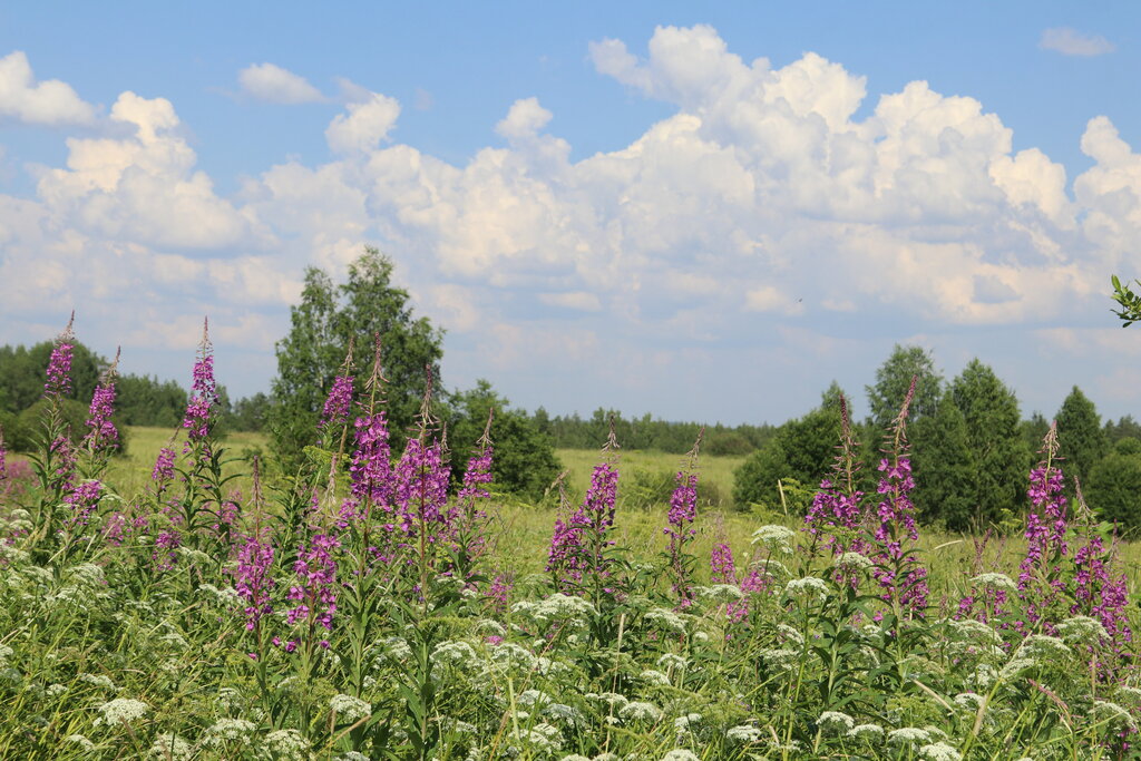 Nature Кительское месторождение граната, Republic of Karelia, photo