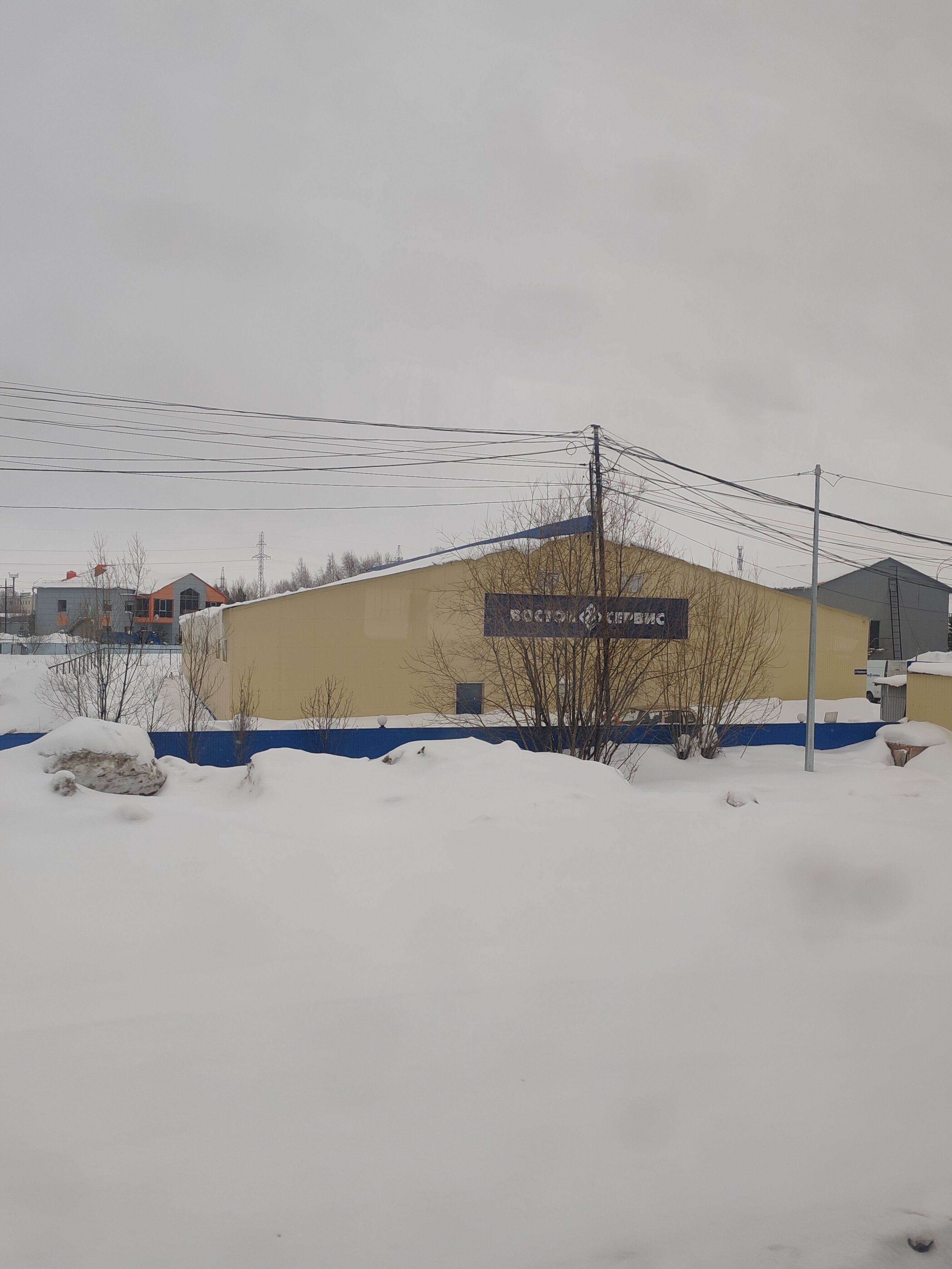 Фото Березка