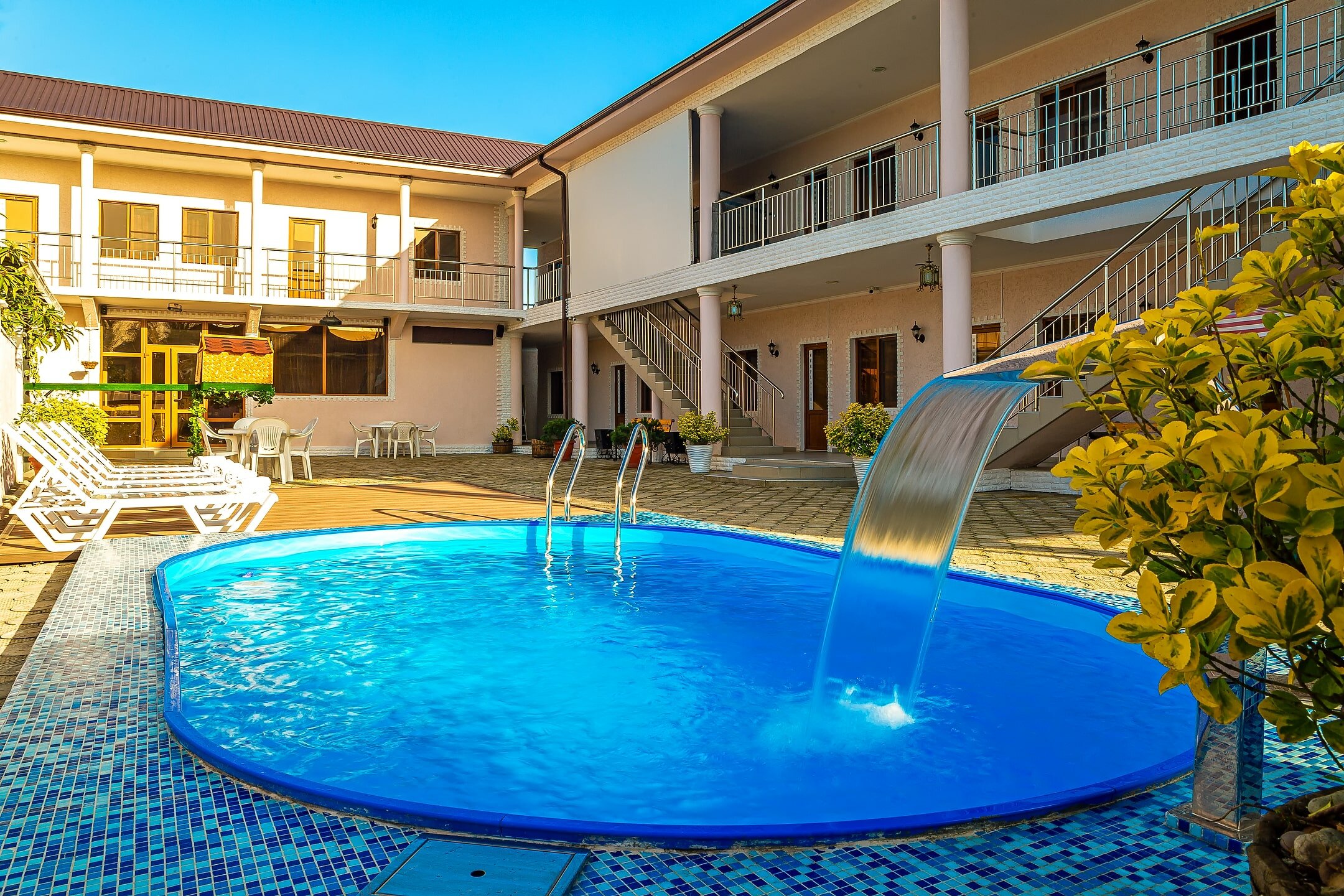 Фото Платан