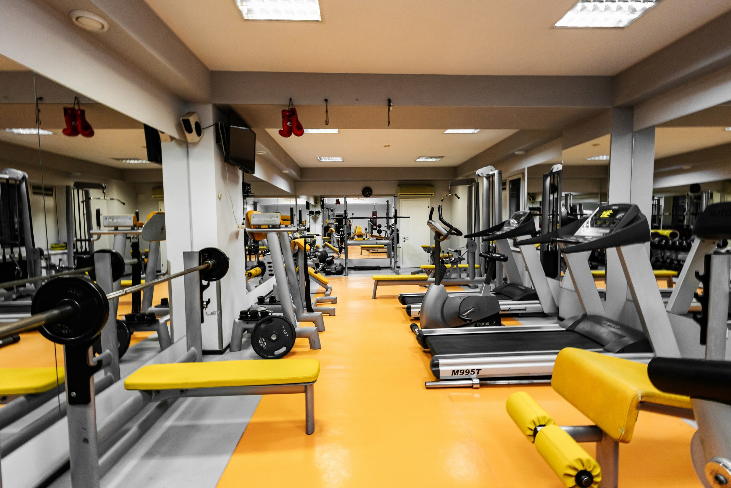 Фото Премьер