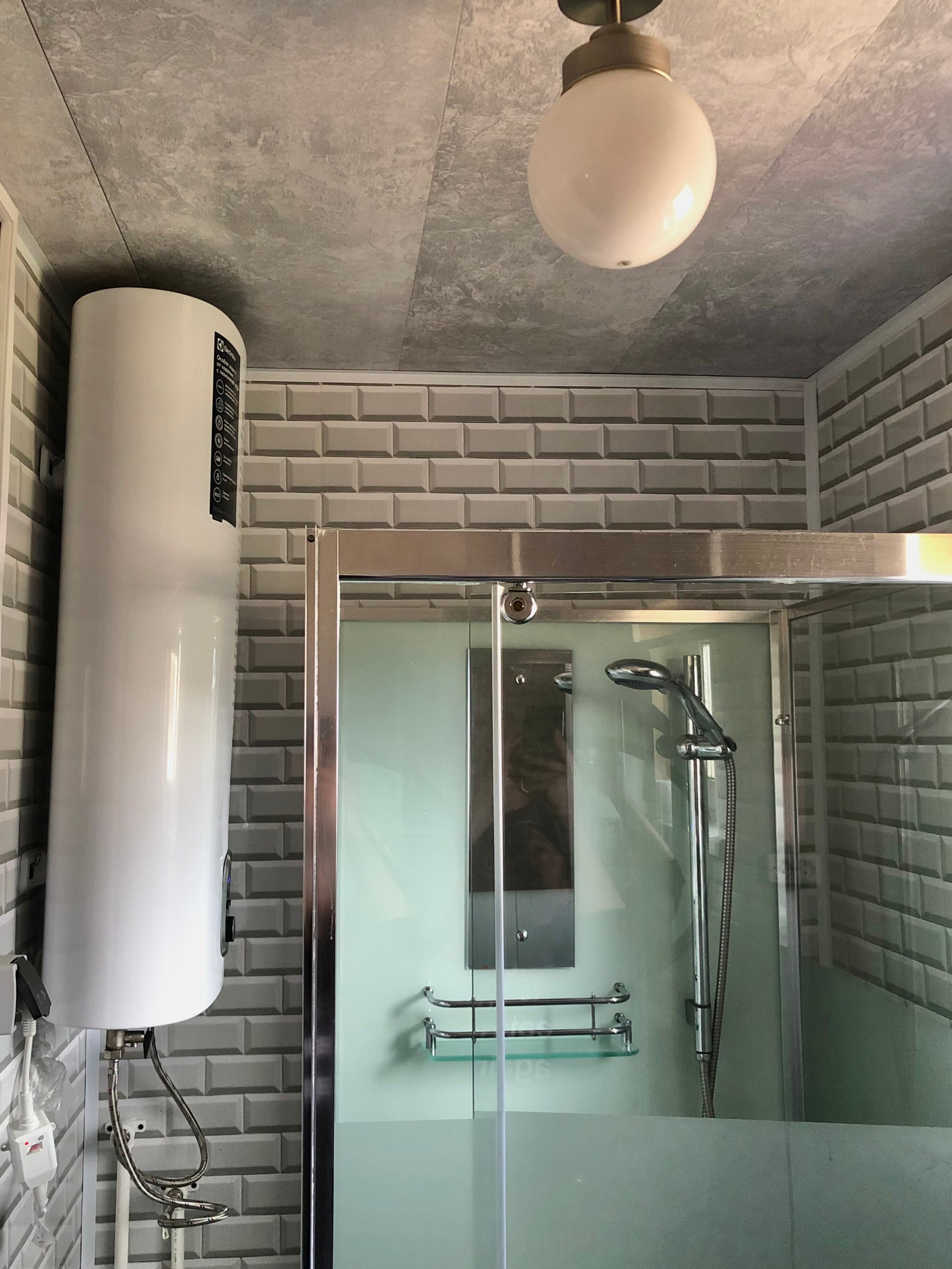 Фото Кот и Лось