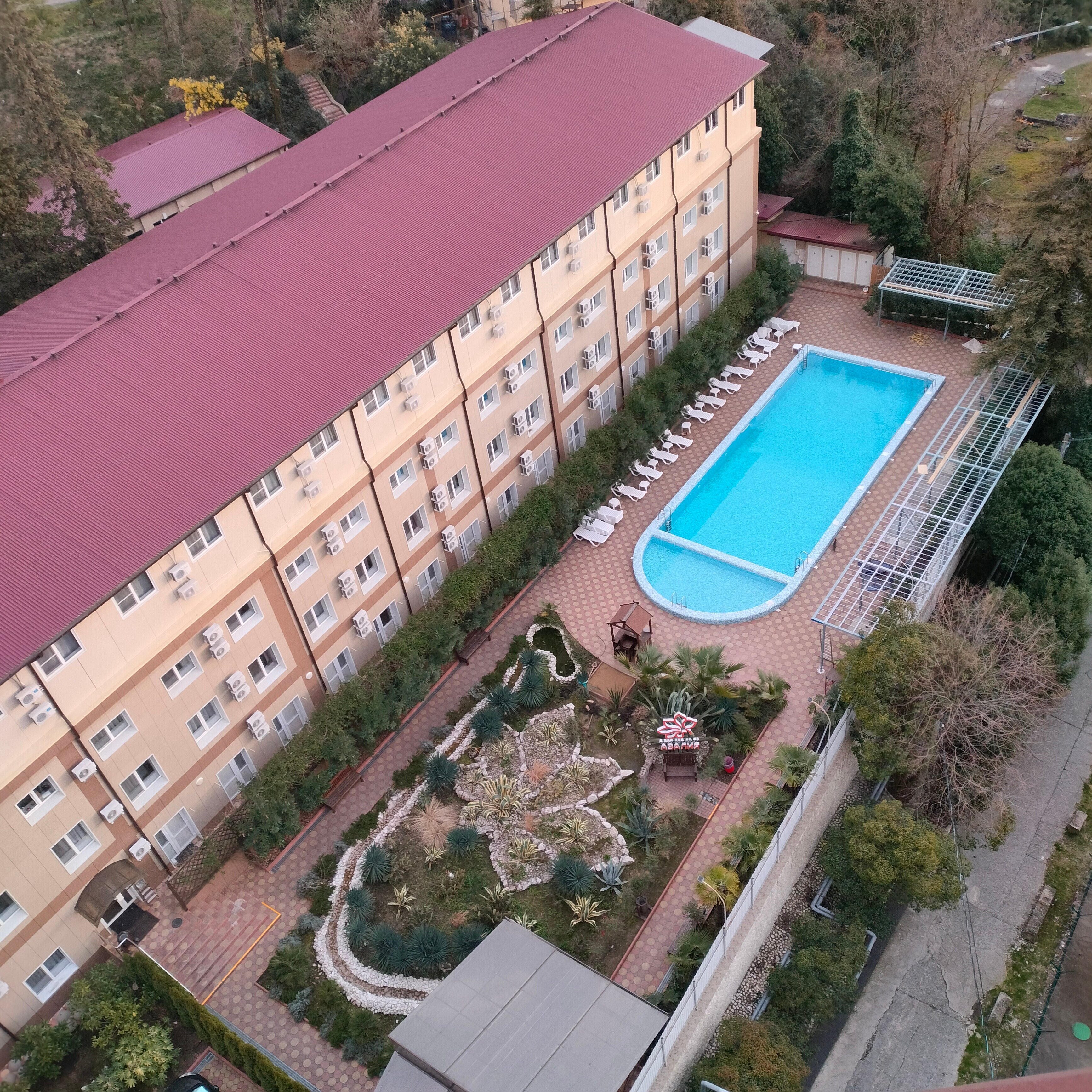 Фото Азалия