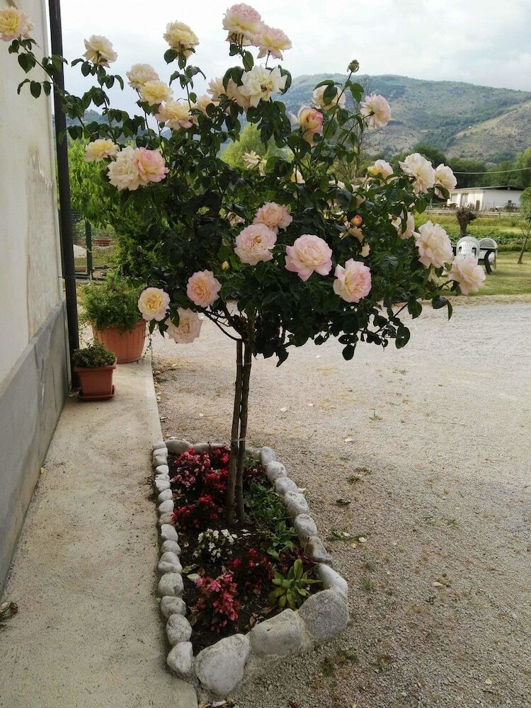 Фото Agriturismo Campo Del Monaco