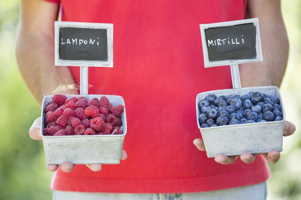 Фото Agriturismo Rossolampone