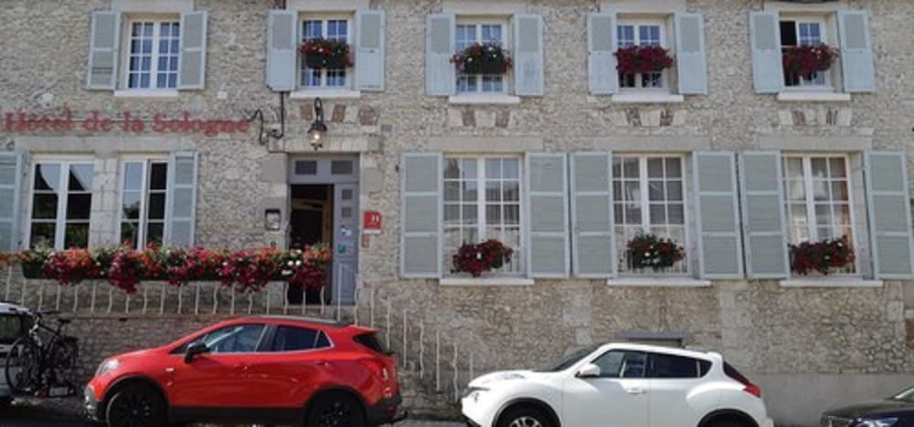 Фото Hôtel de la Sologne