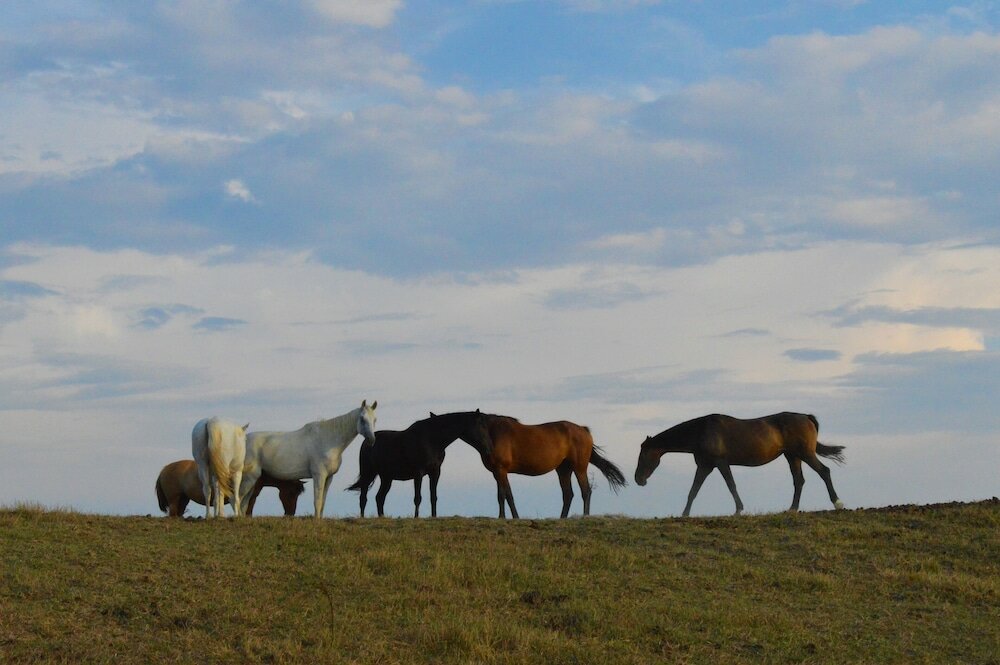 Фото Tenuta i Mandorli