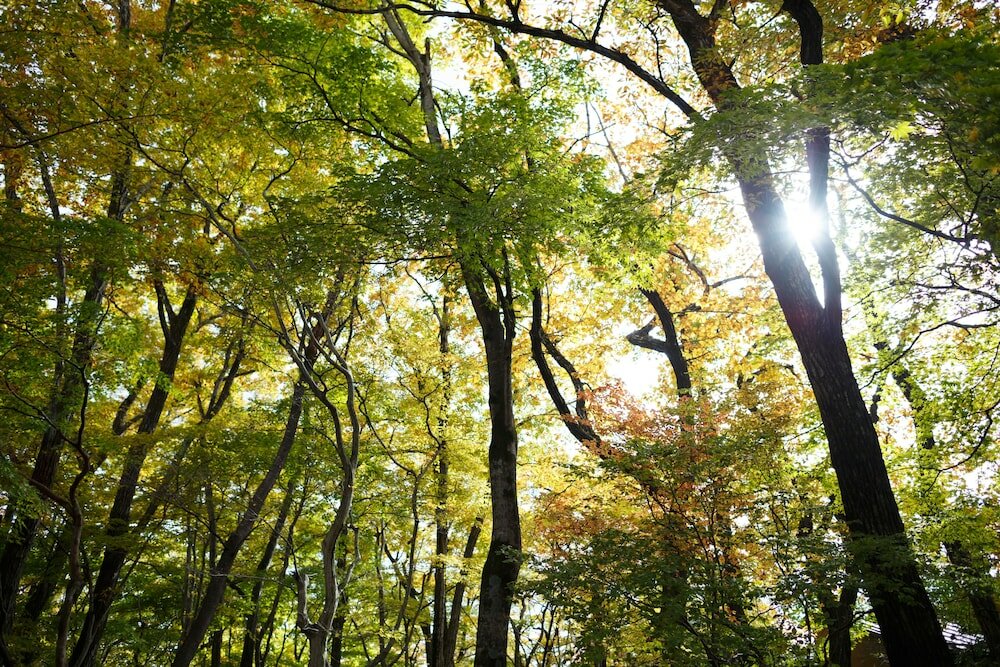 Фото Nasu Bettei Kai