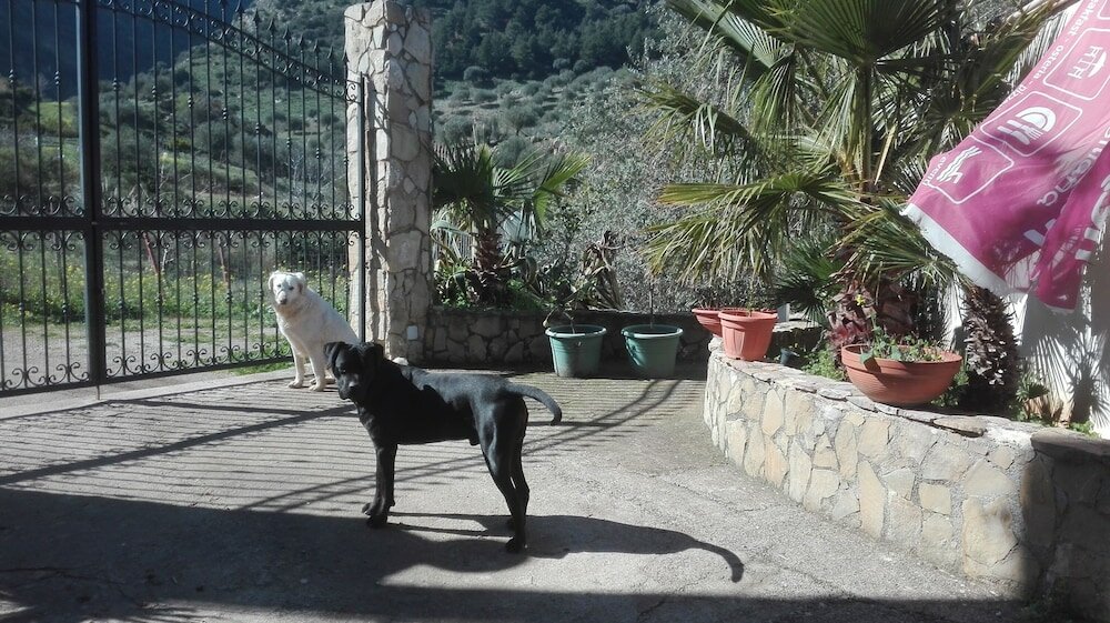 Фото Casa Siciliana Altarbiah