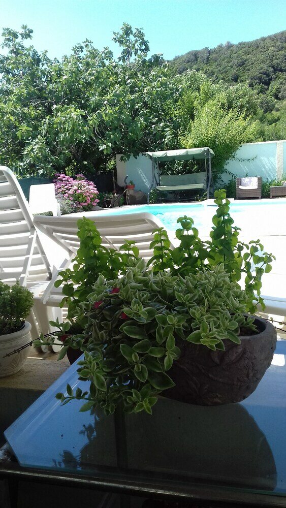 Фото Apartments Gavacic