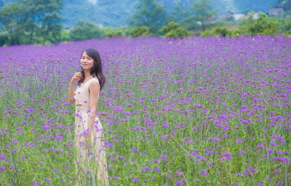 Фото Yangshuo Xingping Island Resort