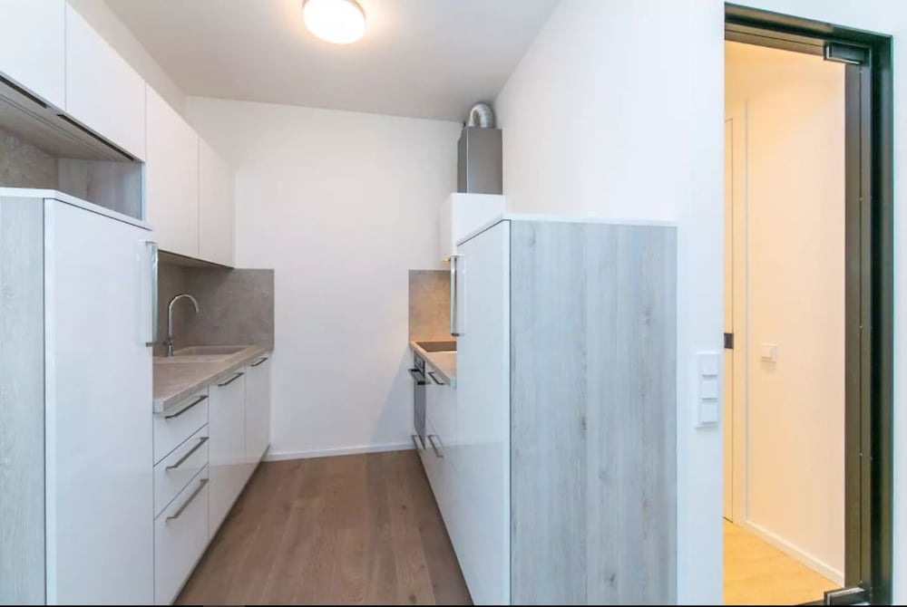 Фото Flawless Apartments Pod Děkankou