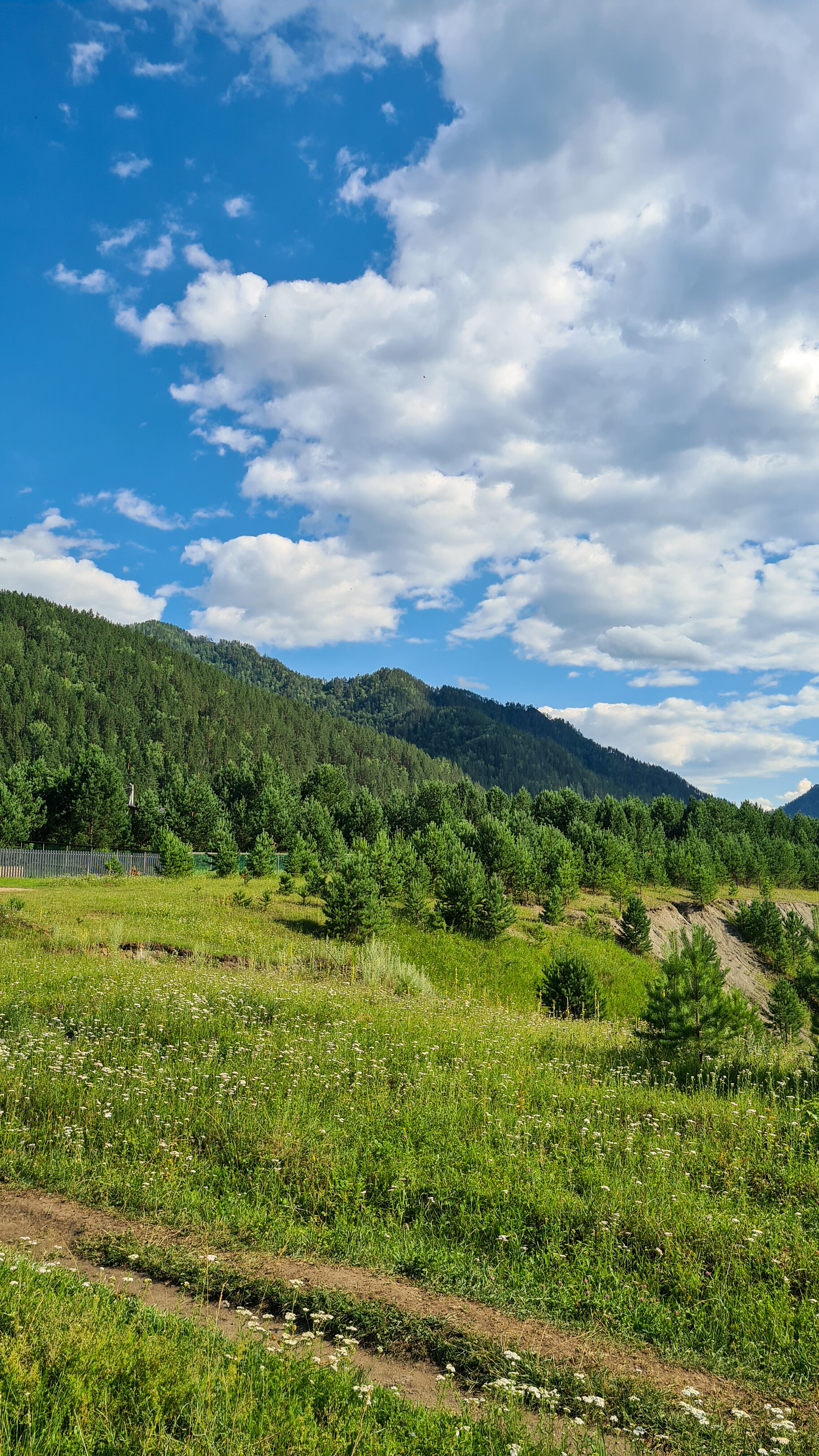 Фото Горы&Сосны