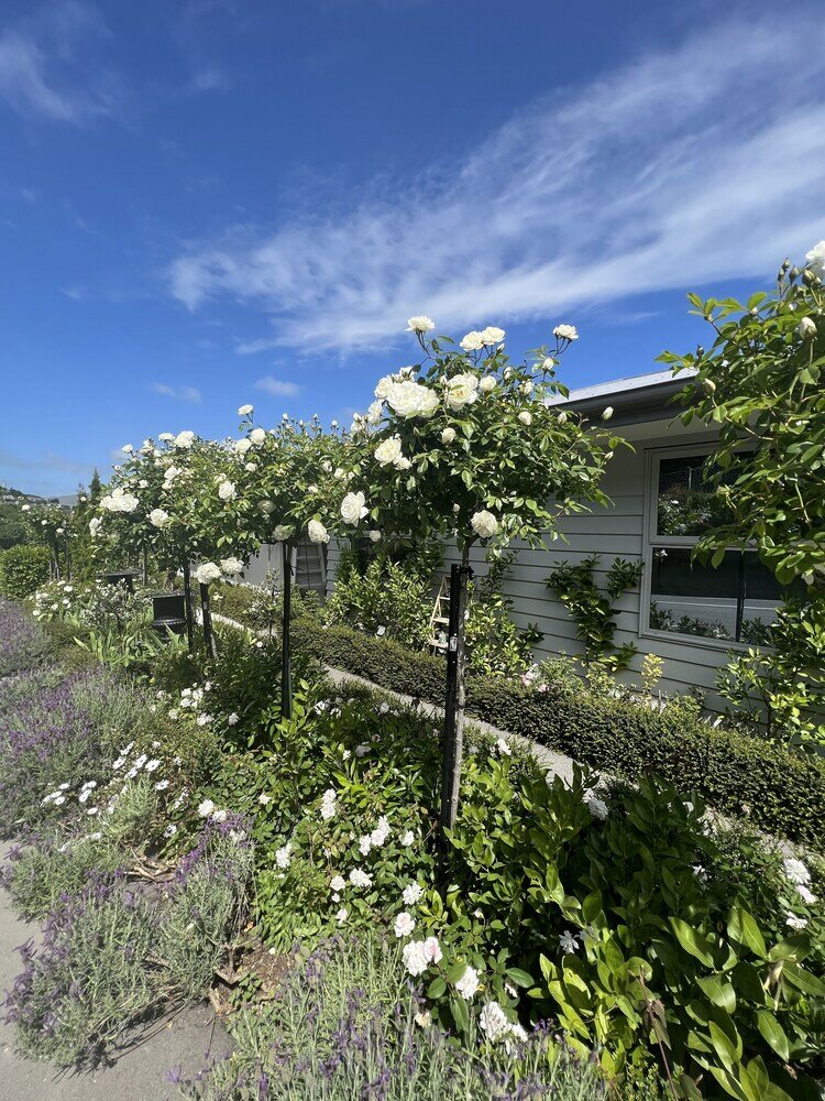 Фото Lyttelton Boatique House
