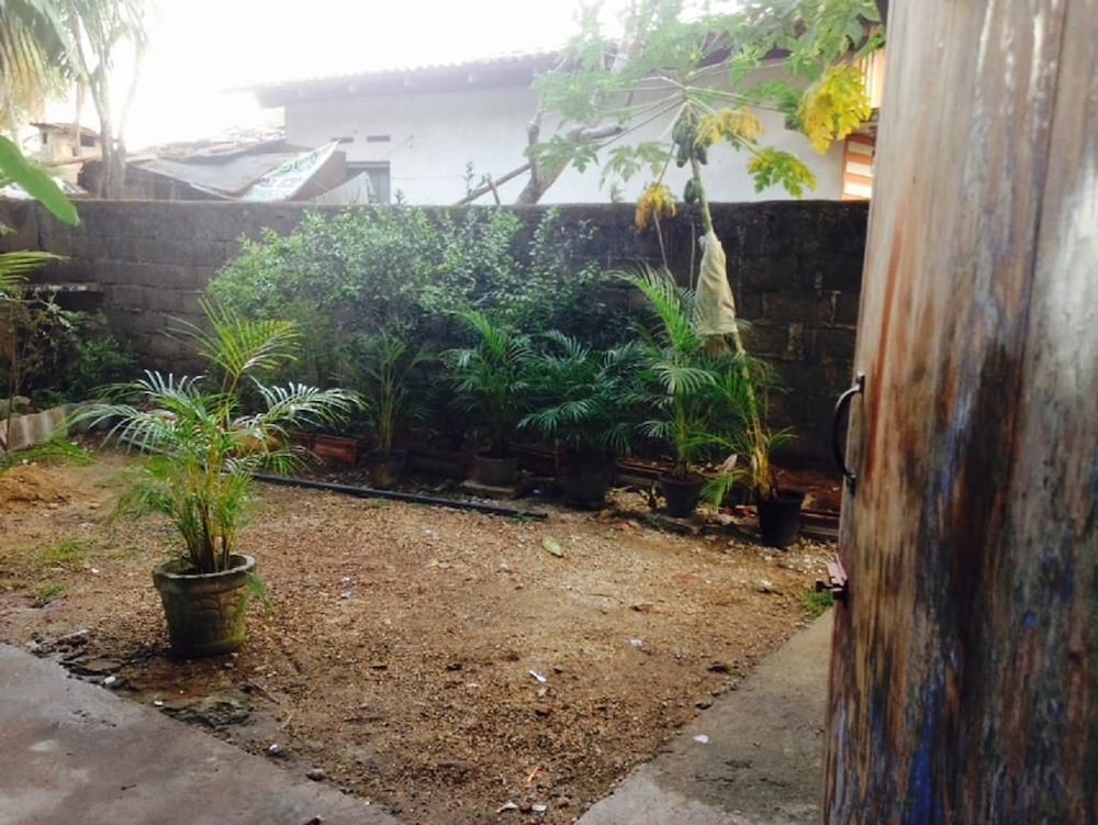 Фото Villahredpalm