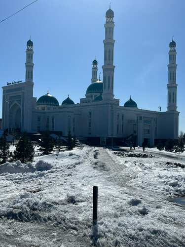 Секс бо хайвонотхо